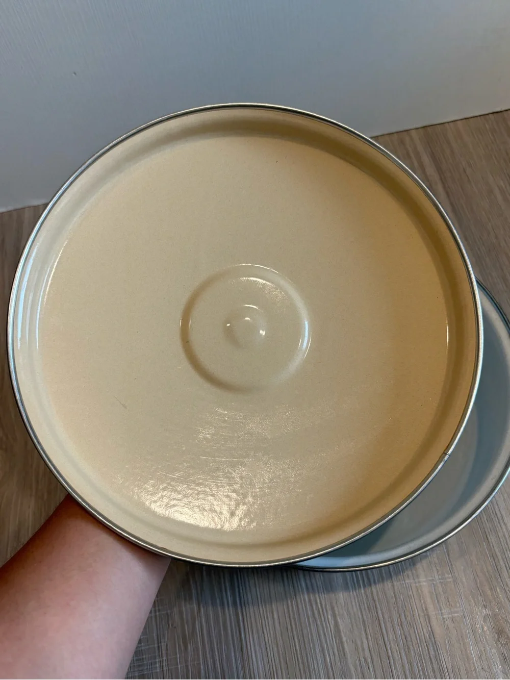 VTG Sears Merry Mushroom 10” 1 Qt Enamel Sauce Fry Pan W/ Lid MCM 70s Granny